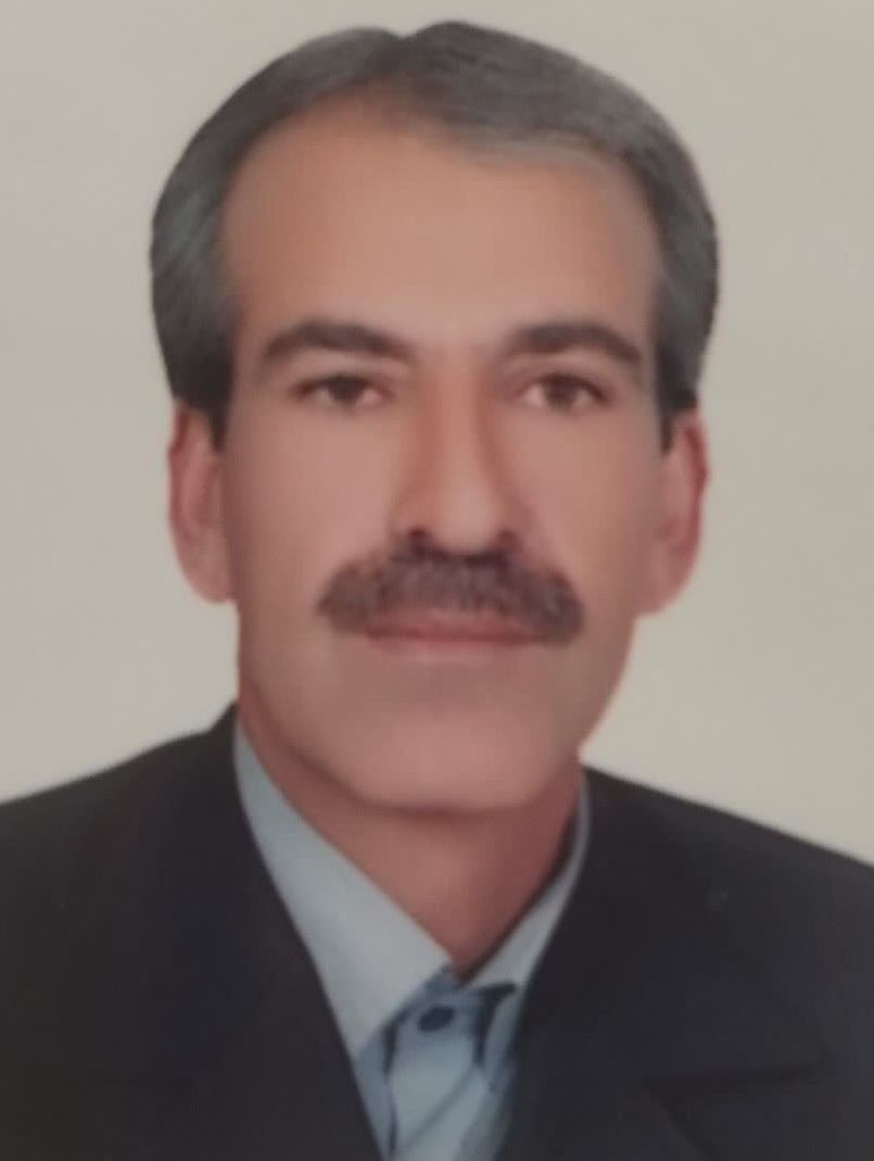 حسن  شاهسونی